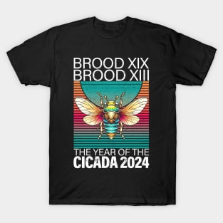 Cicada Brood Xix Brood Xiii Year Of The Cicada 2024 T-Shirt